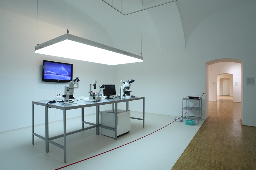 Sculpture Today 02 - Celje Gallery of Contemporary Art - Photo Robert Ograjensek.JPG