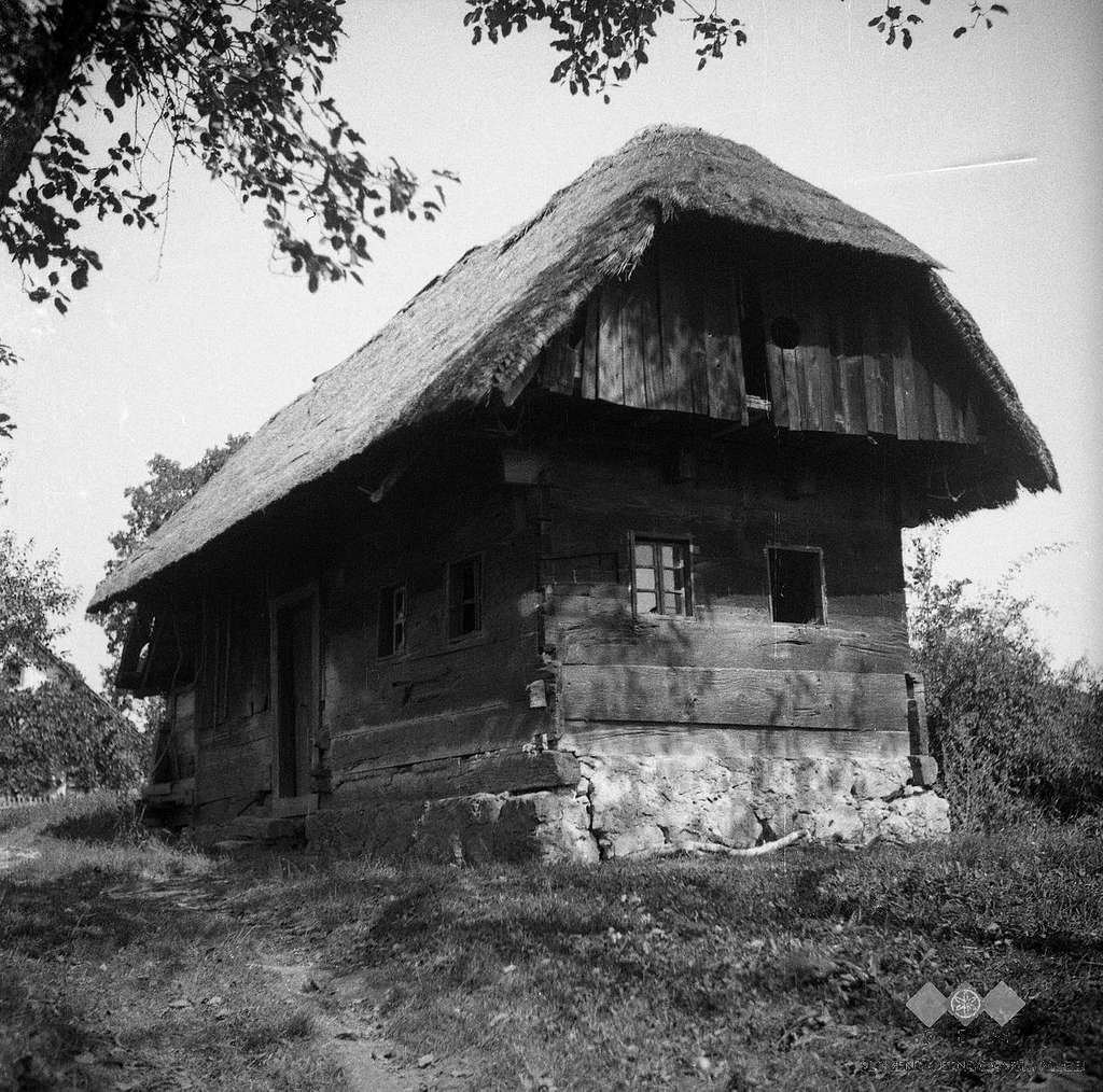 Stenova-kajza-grm-1950-2-99fc4d.jpg