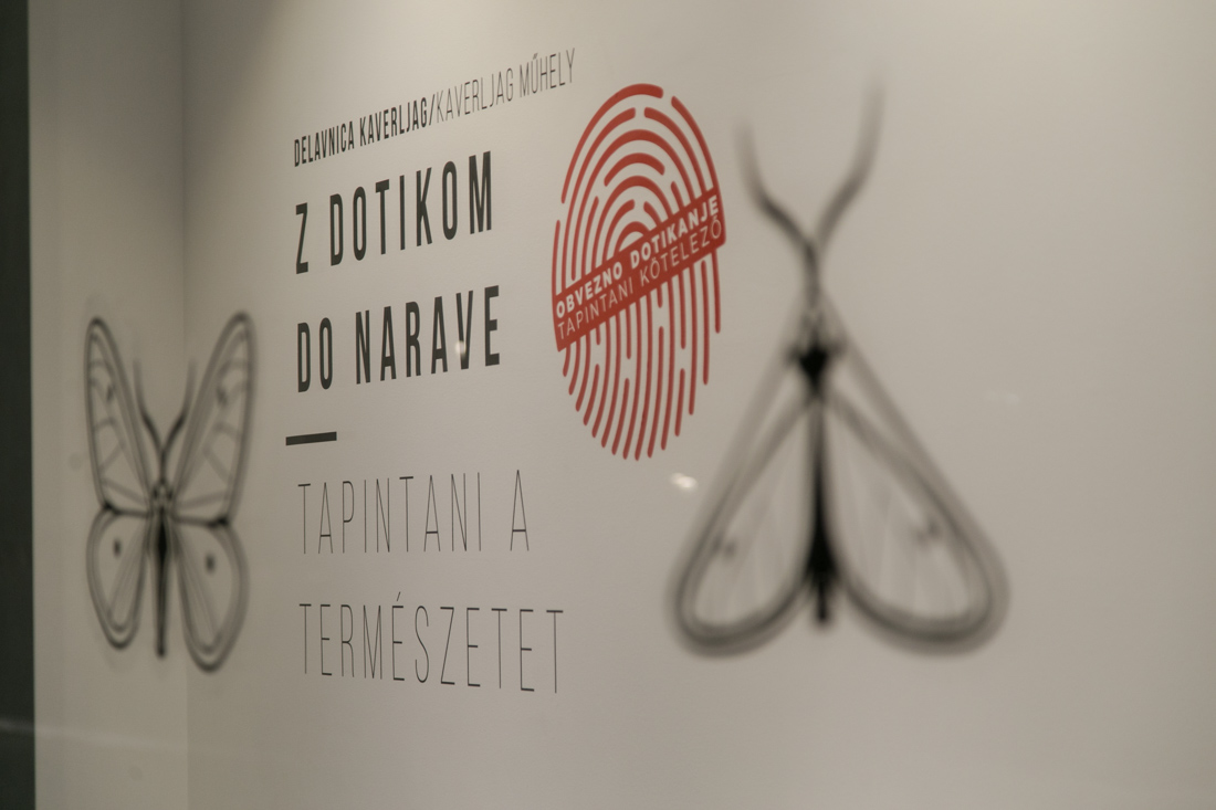Balassi Institute Ljubljana 2017 Touching the Nature Kaverljag.JPG