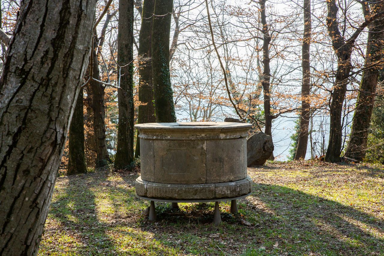 File:Kromberk Castle 2021 historical remnants Photo Kaja Brezocnik.jpg