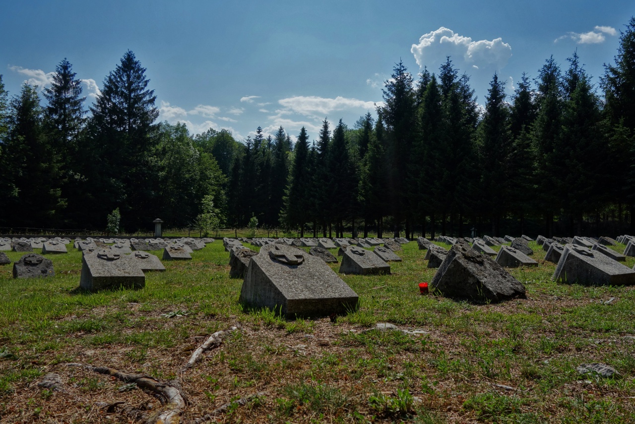 File:Triglav National Park 2014 WW1 Austrian military cemetery near Bovec.jpg
