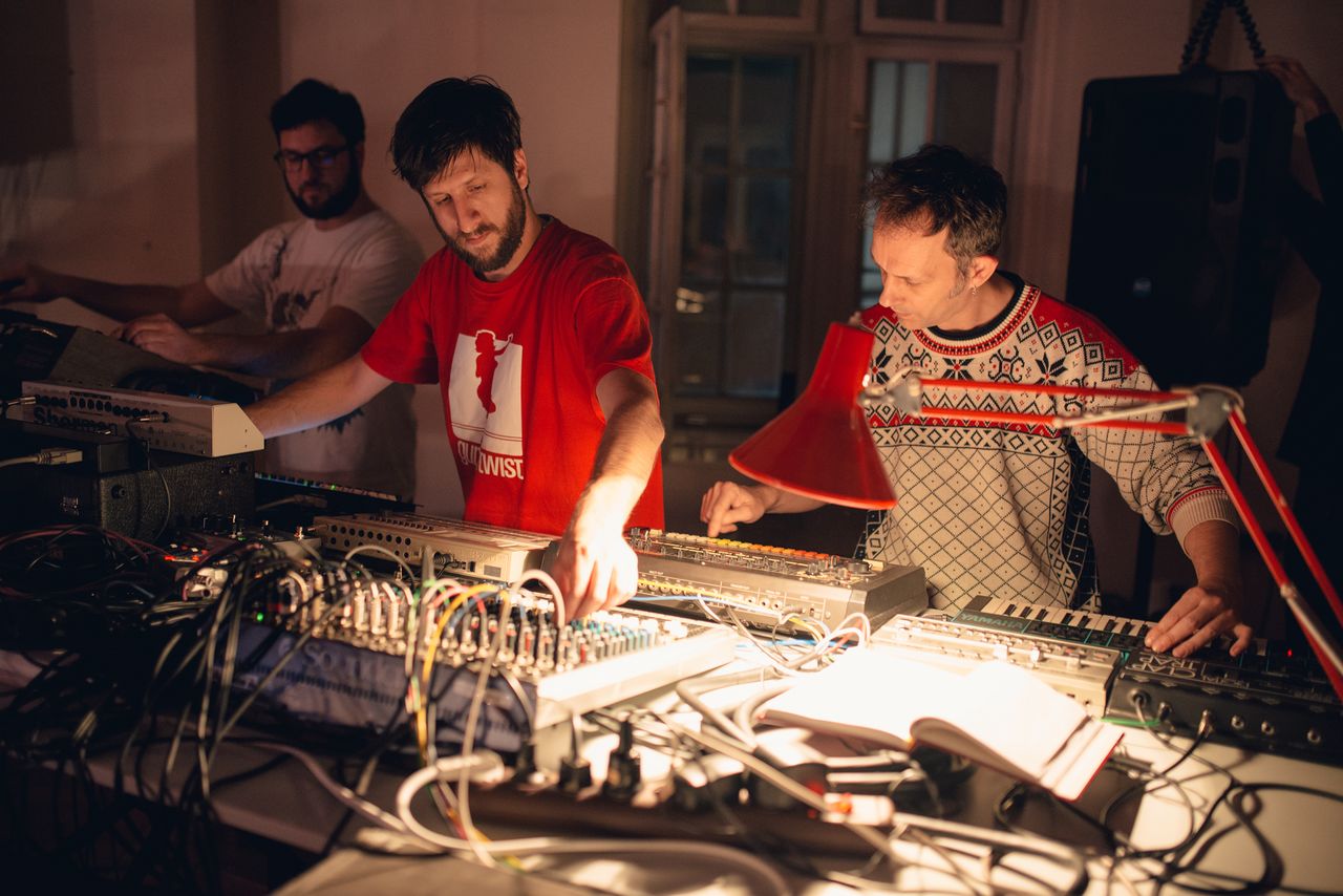 Strictly Analog Festival 2014 Niplodok.jpg