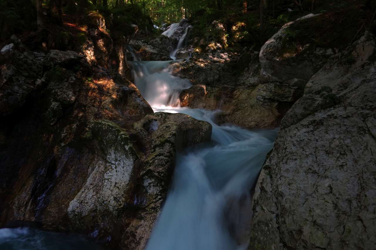 File:Triglav National Park 2014 water hurst of Sunik 01.jpg