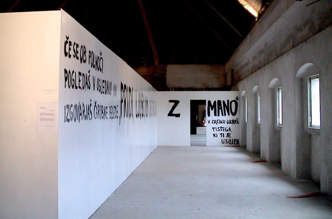 Muzeum Alevtina Kakhidze Memory (W)hole exhibition, 2005.jpg