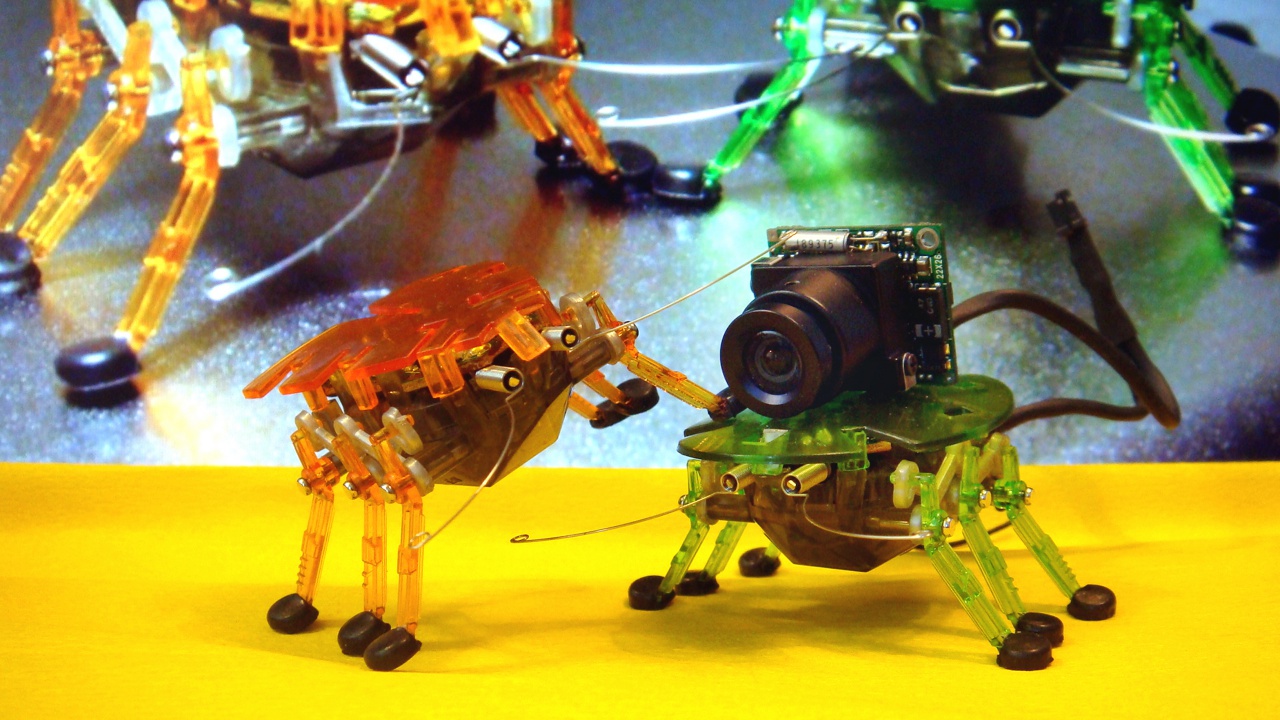File:Intima Virtual Base 2010 Ballettikka Internettikka Insecttikka Hamburg.jpg