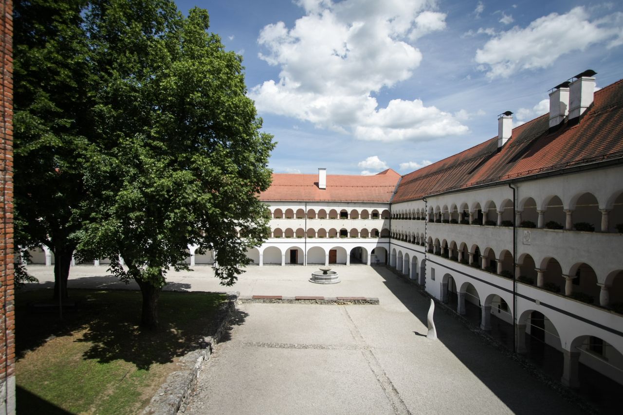 Bozidar Jakac Art Museum 2016 yard.jpg