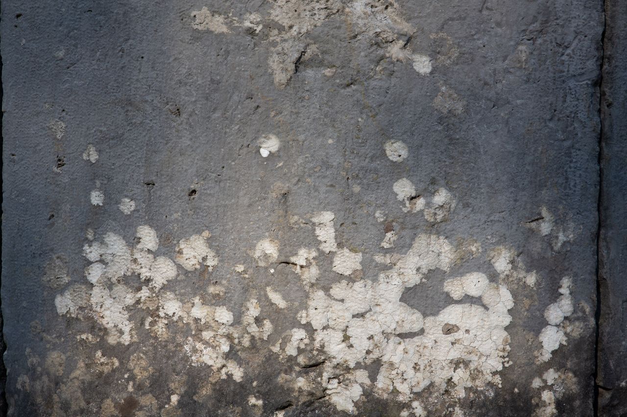 File:Kromberk Castle 2021 wall closeup Photo Kaja Brezocnik.jpg