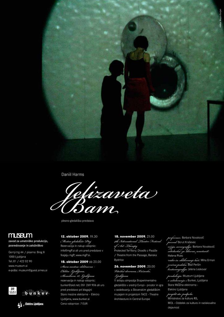 File:Muzeum Institute 2008 Elisabeth Bam poster.jpg
