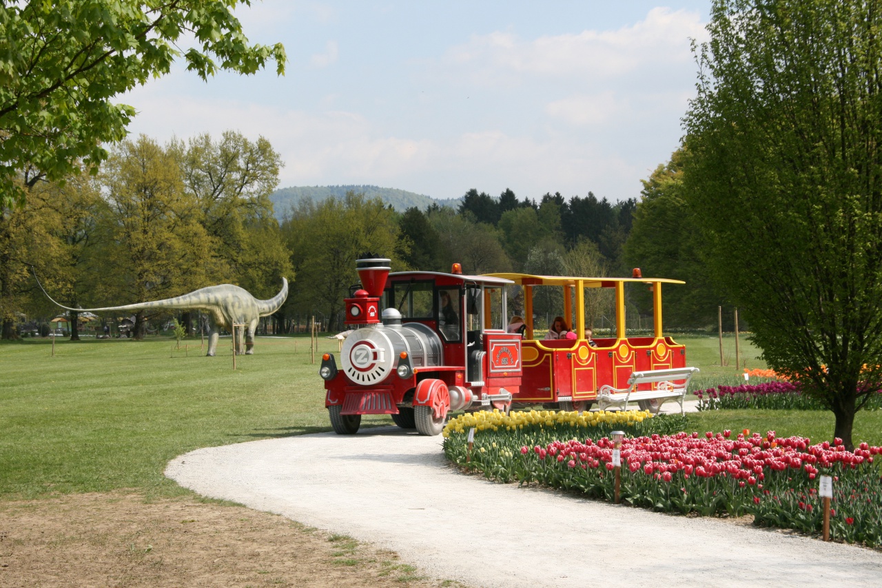 File:Arboretum Volcji Potok 2011 train ride.jpg