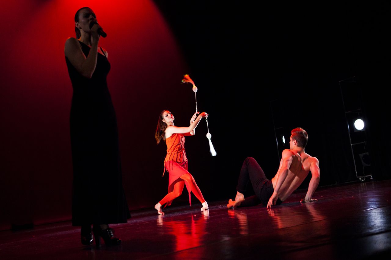 File:Celje Dance Forum 2011 Let na krilih plesa Photo Rok Trzan.jpg