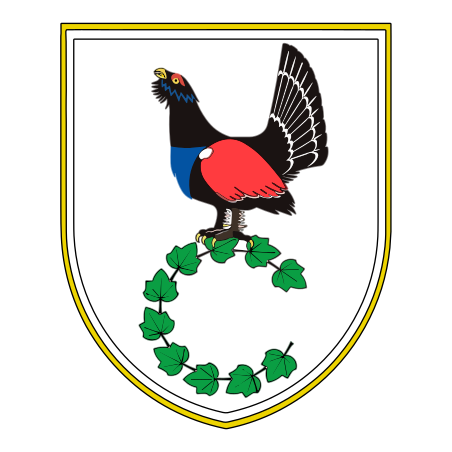 File:Municipality of Cerkno coat of arms.svg