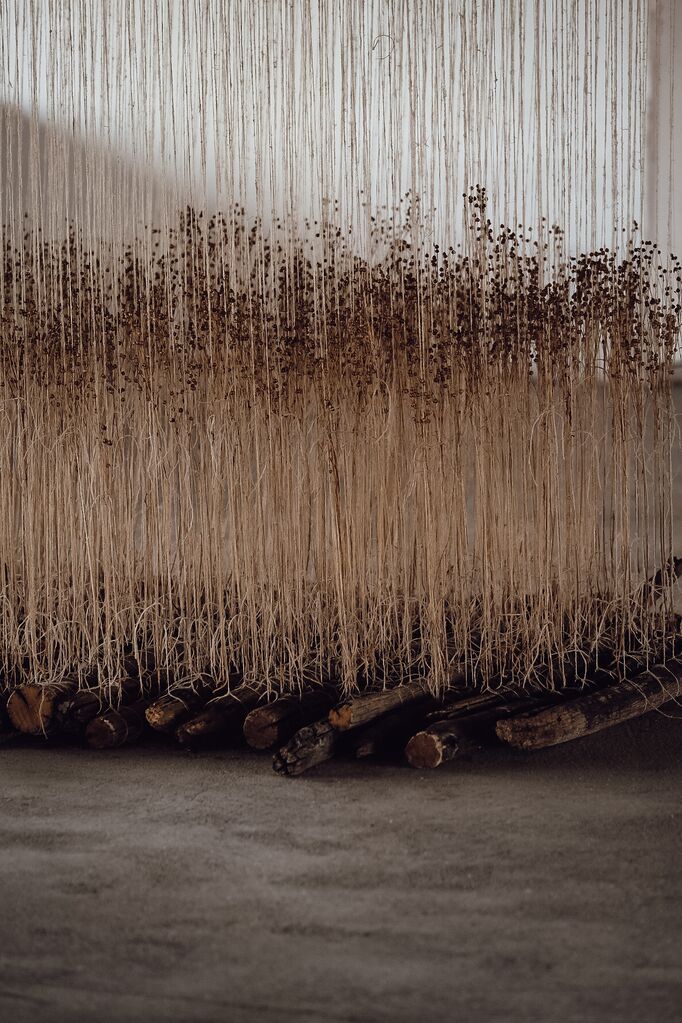 File:Biennial of Textile Art BIEN 2023 Ripening Photo Masa Pirc.jpg