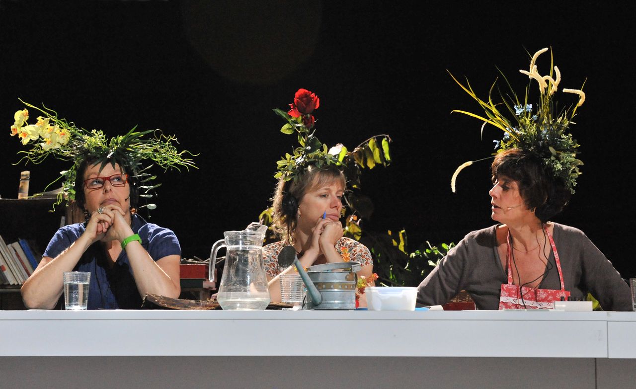 File:Mladi levi Festival 2011 Dominique Roodthooft Photo titanne.jpg