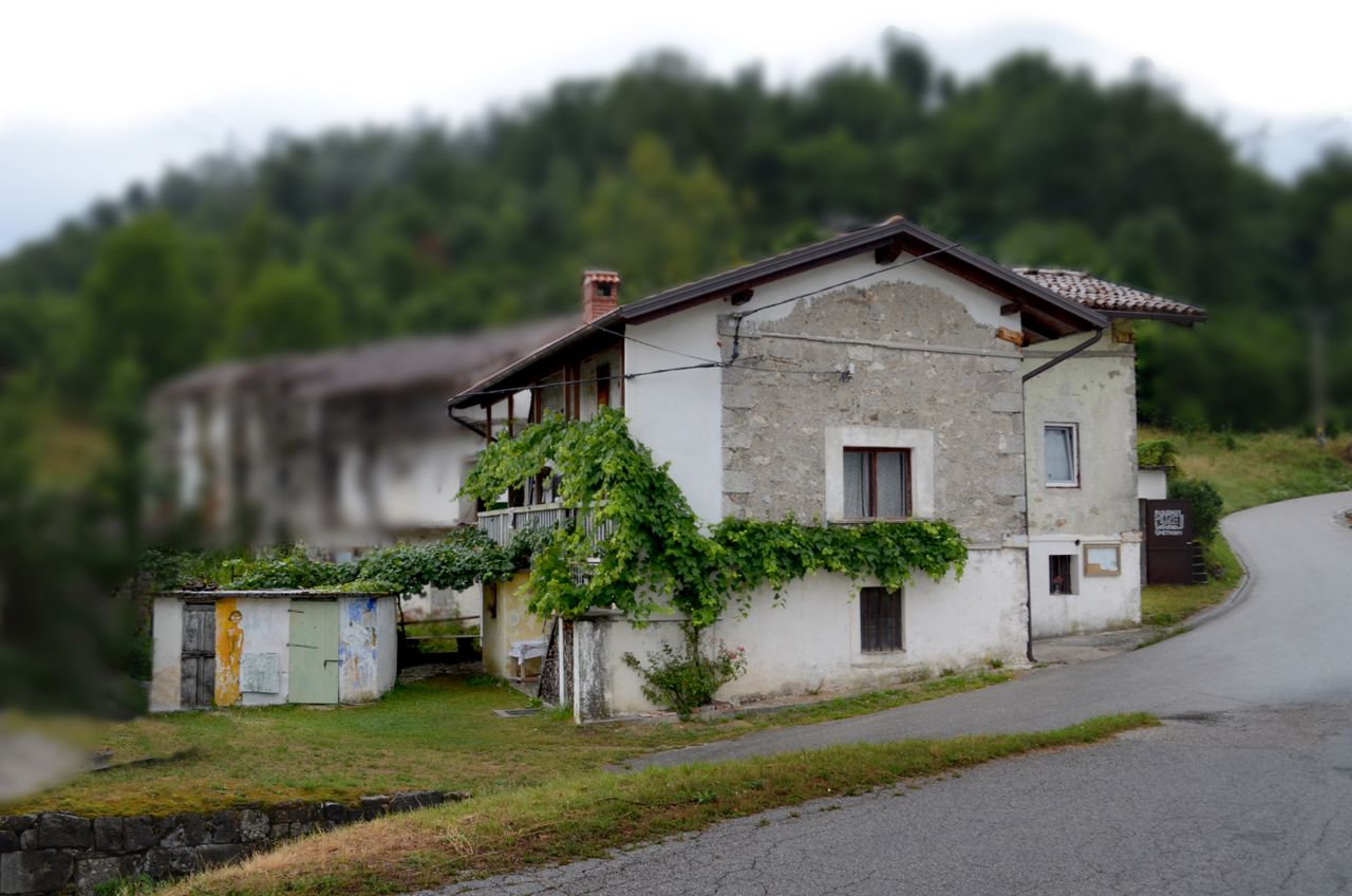 The Last Contemporary Art Museum 2015 View of the house.jpg