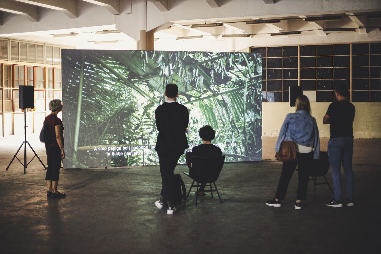 File:International Triennial Ecology and Art 2021 closing days video watching photo Janez Klenovsek.jpg