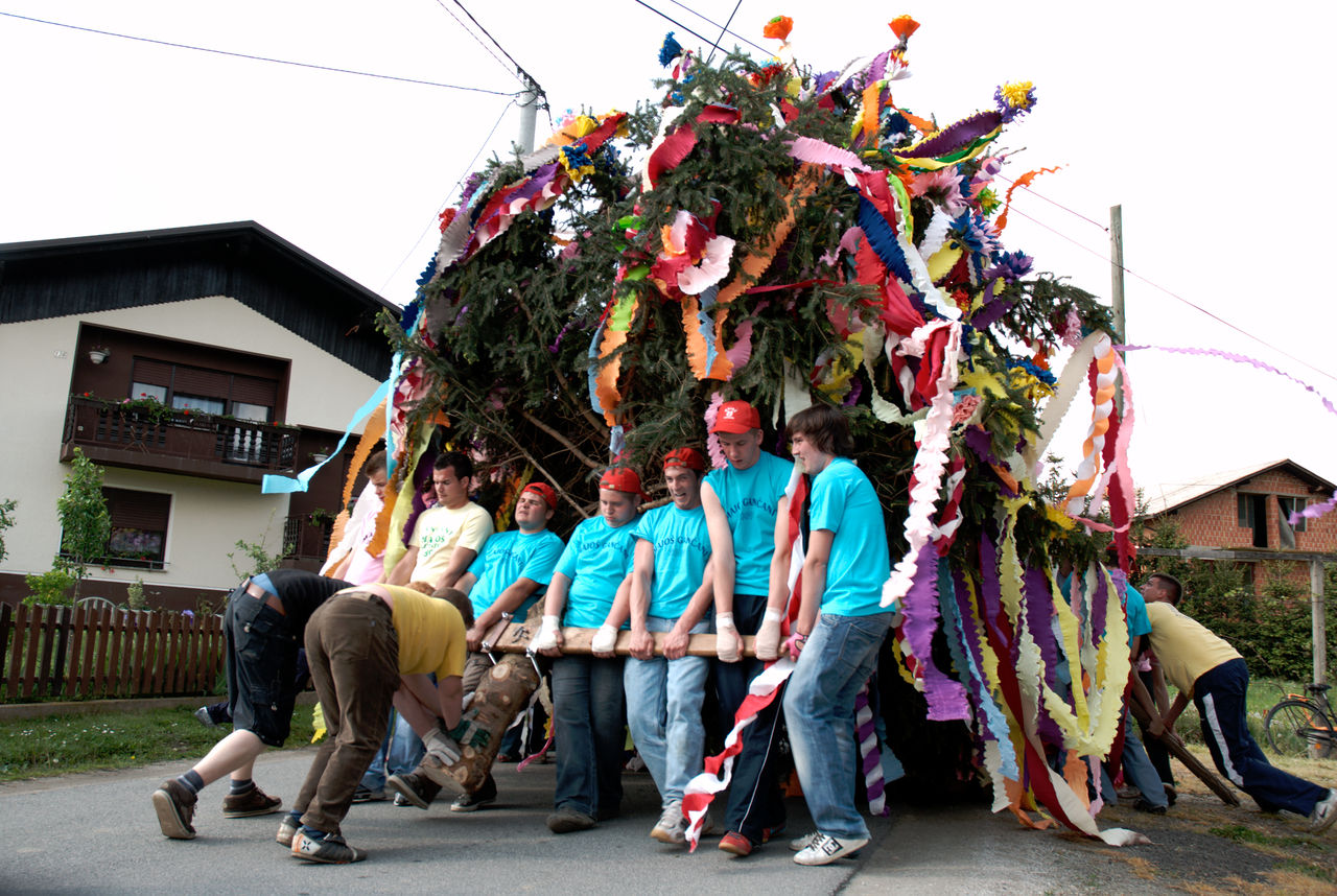 File:Majos - SFS - 2010 - 09.jpg