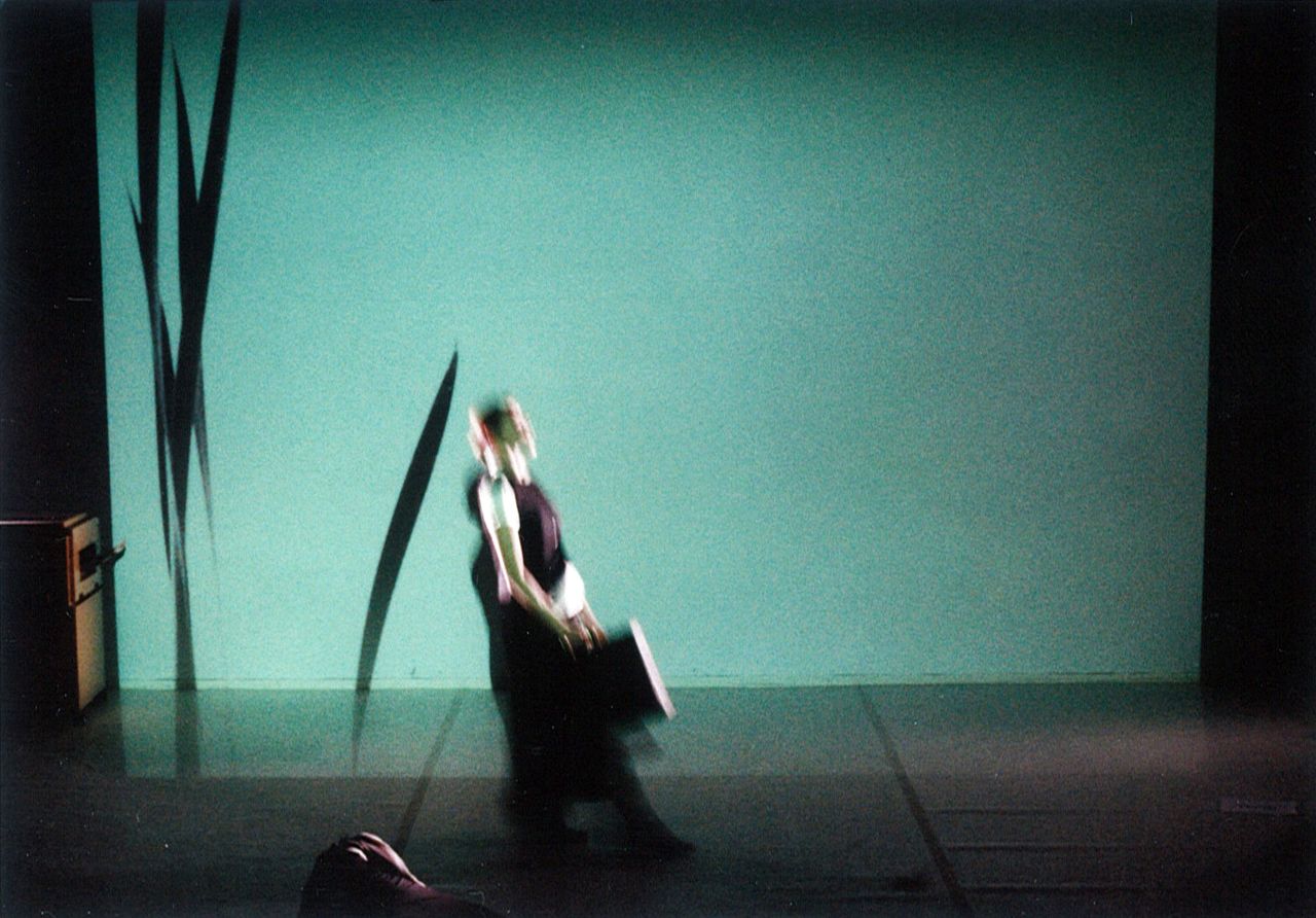 File:Muzeum Institute 1999 Paracelsus and Frankenstein Photo Rok Oman.jpg