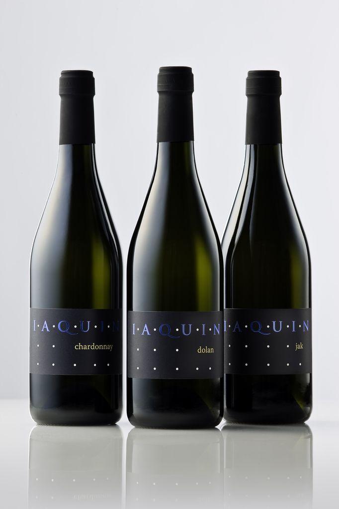 File:Studiobotas 2009 Iaquin wine Photo Dragan Arrigler.jpg