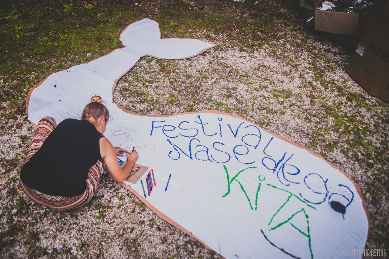 Beached Whale Festival 2016 01.jpg