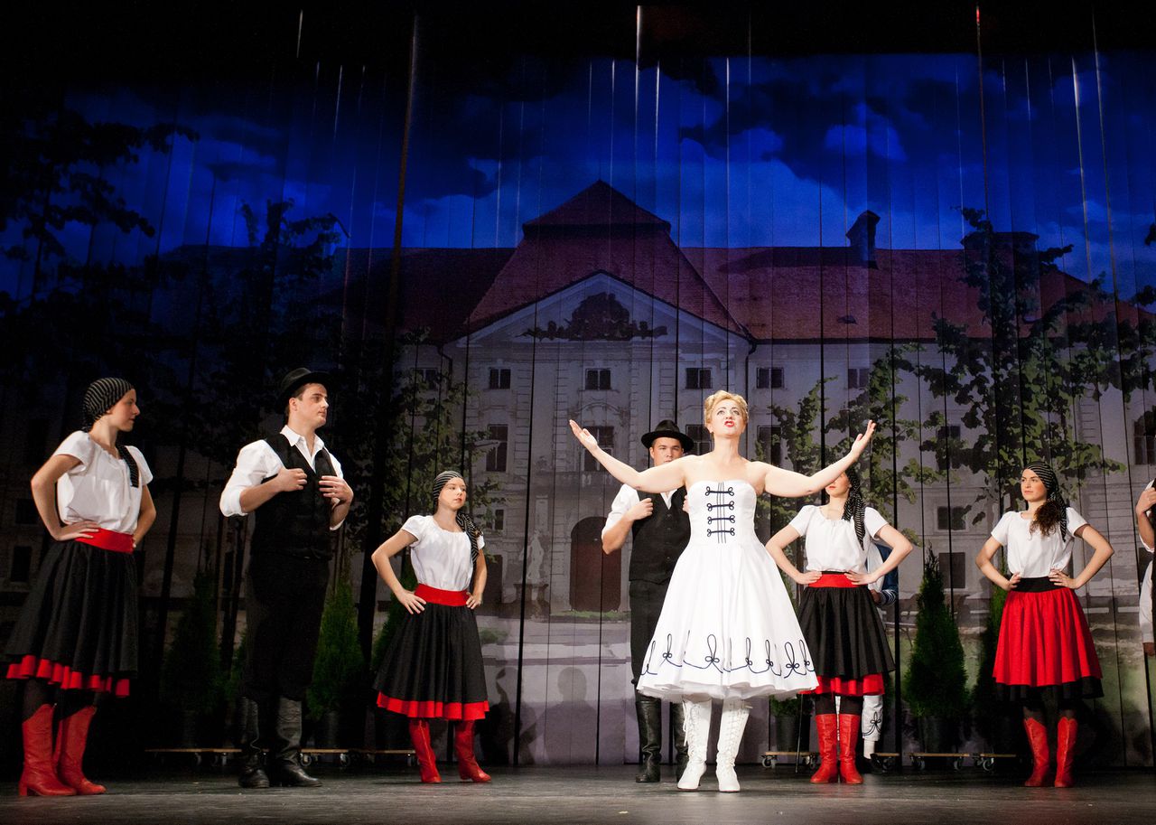 File:House of Culture Celje 2011 Grofica Marica.jpg