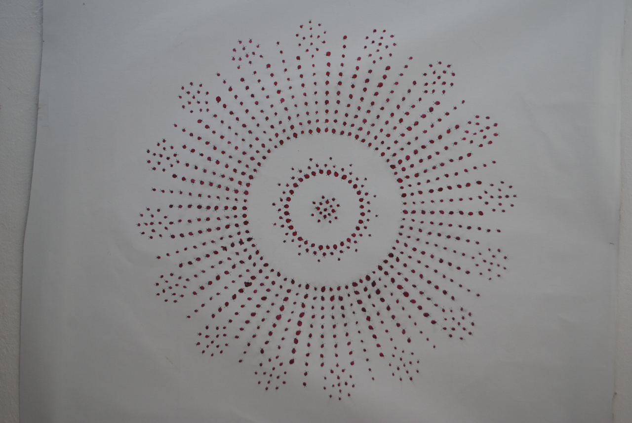 File:Museum of Too Modern Art 2012 Pikapolonice.JPG