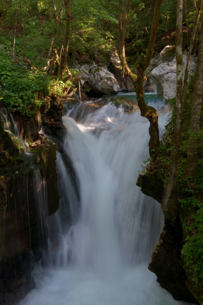 File:Triglav National Park 2014 water hurst of Sunik 02.jpg