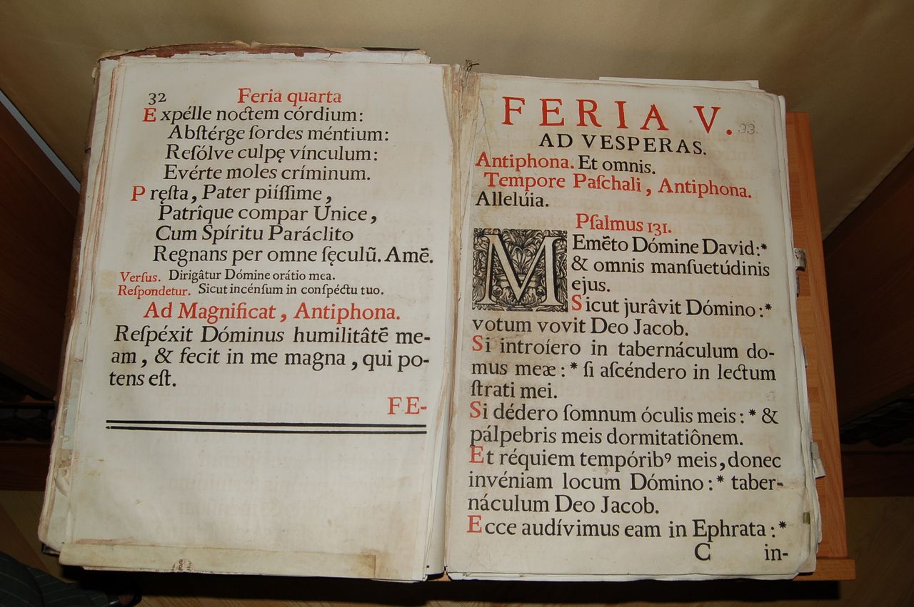 SL-psalterij1 .jpg