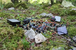 Hacking the meadows at <!--LINK'" 0:907-->, 2015