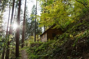 <!--LINK'" 0:151-->, 2019.