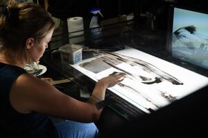 Animator Naomi van Niekerk at work at the <!--LINK'" 0:51--> Studio in Ljubljana. A peer2peer meeting organised by the <!--LINK'" 0:52--> in September 2024.