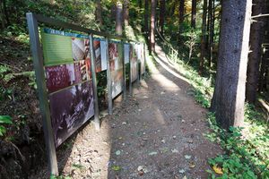 Information boards by the path leading to <!--LINK'" 0:292-->.