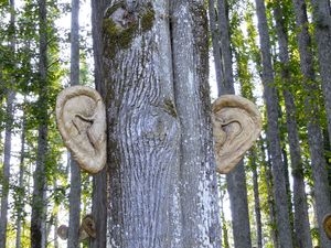 Site-specific installation in the forest at the <!--LINK'" 0:649--> in the vicinity of <!--LINK'" 0:650-->, 2015