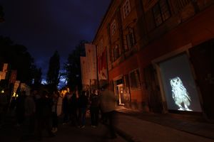 <i>Fragments of the World</i>, video installations showing animals captured in the urban world created by men, <!--LINK'" 0:587--> by Bertrand Gadenne, <!--LINK'" 0:588-->, 2013