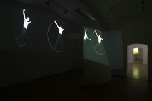 Video projections <i>Night Flight</i> by artist <i>Jasna Hribernik</i> at the <!--LINK'" 0:601-->, 2010 - 2011