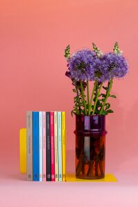 No! Press editions from the first two years. Photo: Gal Ambrožič