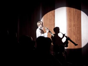 A solo performance at the <!--LINK'" 0:1098--> 2013, a festival-workshop-competition held in Nova Gorica since 1997