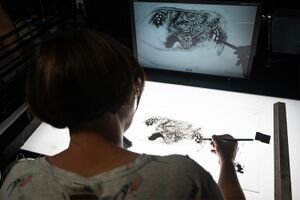 Animator <!--LINK'" 0:49--> at work. The peer2peer meeting of the DSAF resident Naomi van Niekerk with Slovene animators in September 2024 at <!--LINK'" 0:50--> Studio.