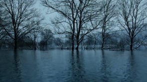 Perseverance / Vztrajanje - ANG official trailer