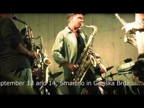 Free improvisation amongst the fig trees