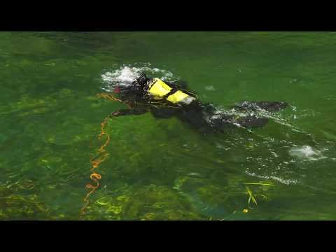 Moja Ljubljanica/Ljubljanica River TRAILER 01