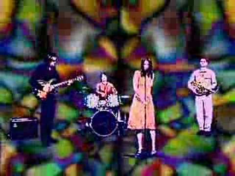 Fake Orchestra - Slavićek